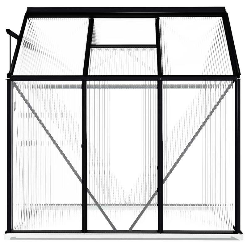 Bowery Hill Contemporary Transparent Aluminum Greenhouse in Anthracite