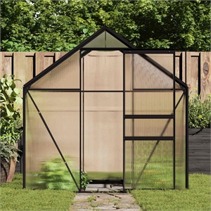 Bowery Hill Contemporary Transparent Aluminum Greenhouse in Anthracite