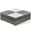 Bowery Hill Contemporary Synthetic Poly Rattan Lounge Set in Gray