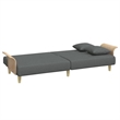 Bowery Hill Contemporary Standard Sofa Bed in Dark Gray Fabric