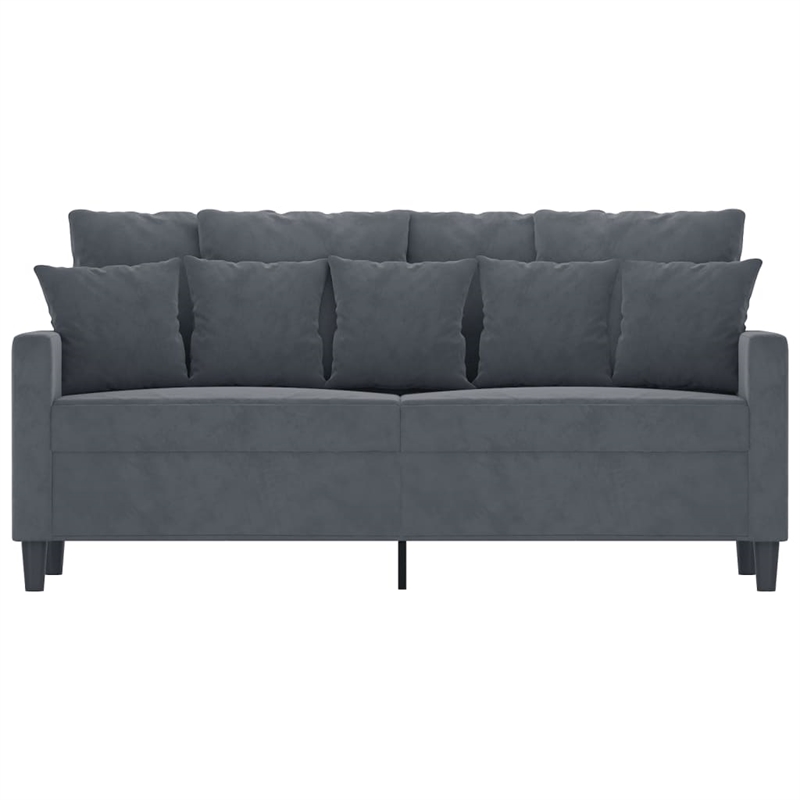 Bowery Hill Contemporary Metal 2-Seater Sofa in Dark Gray Velvet