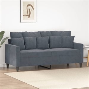 Bowery Hill Contemporary Metal 2-Seater Sofa in Dark Gray Velvet