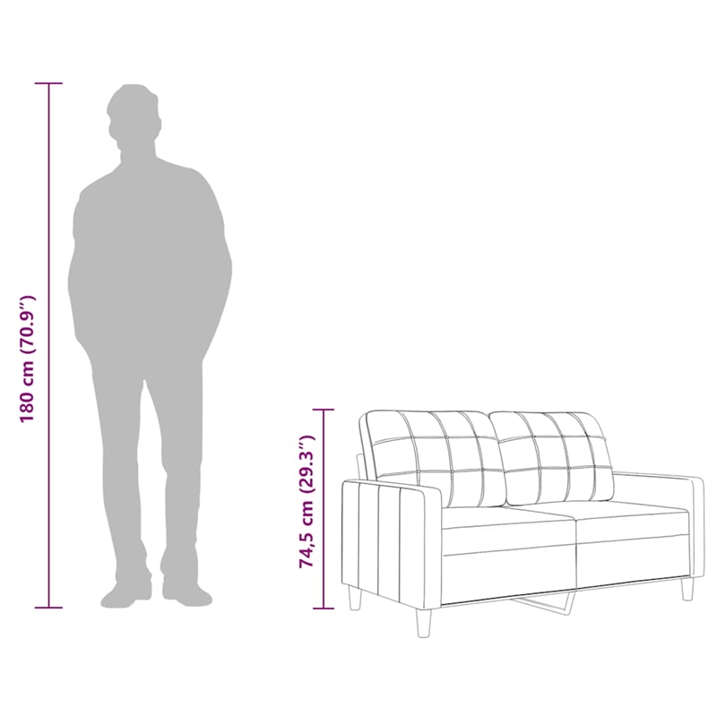 Bowery Hill Contemporary Metal 2-Seater Sofa in Black Polyester