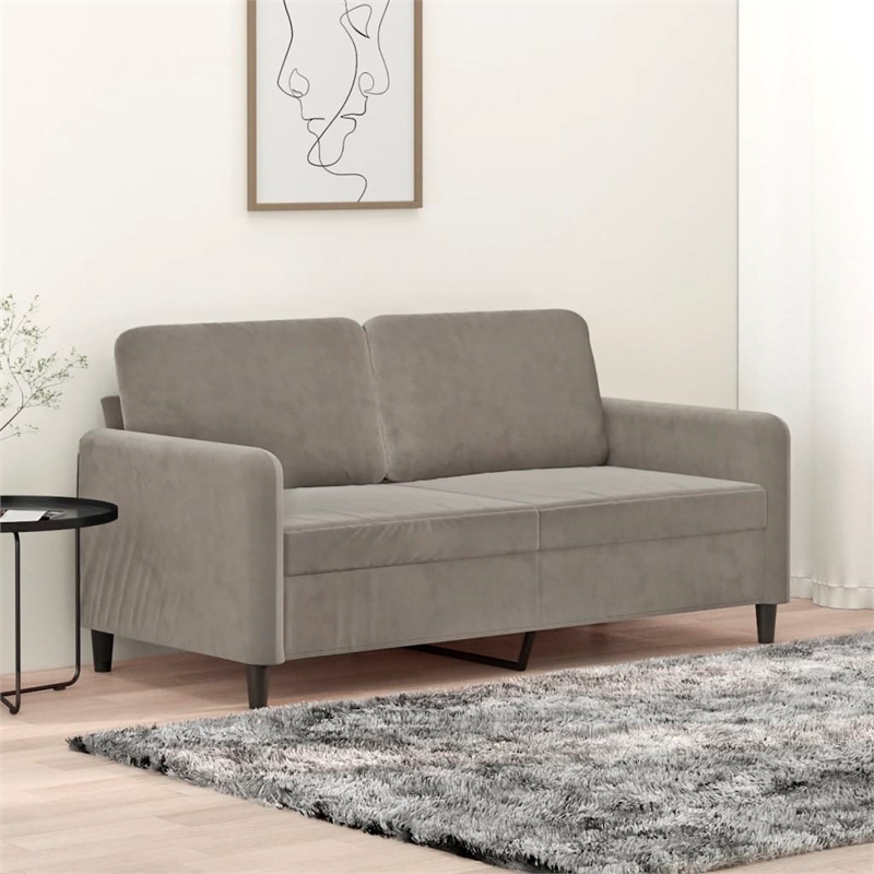 Bowery Hill Metal 2-Seater Sofa in Light Gray Polyester Velvet
