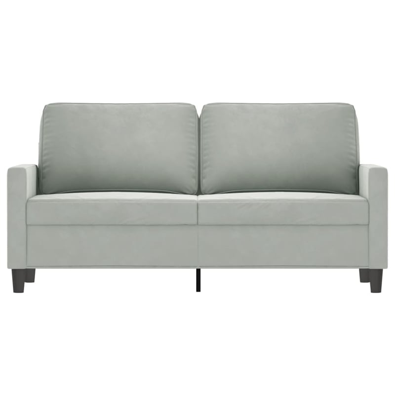 Bowery Hill Contemporary Metal 2-Seater Sofa in Light Grey Velvet