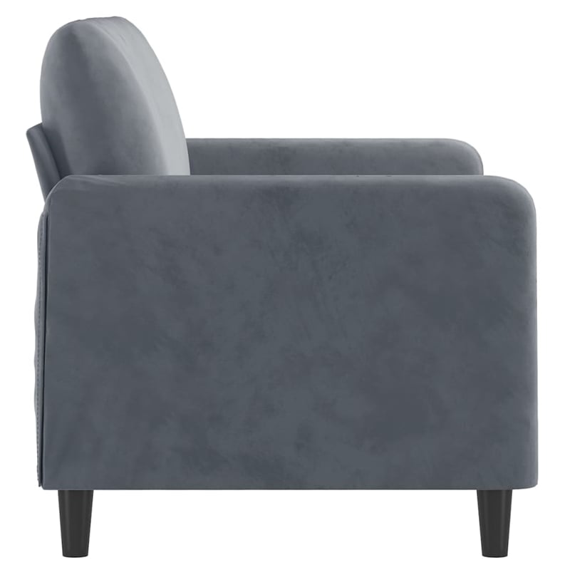 Bowery Hill Contemporary Velvet 2-Seater Sofa in Dark Gray Finish