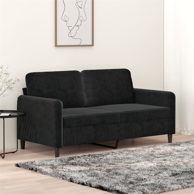 Bowery Hill Contemporary Metal 2-Seater Sofa in Black Polyester Velvet