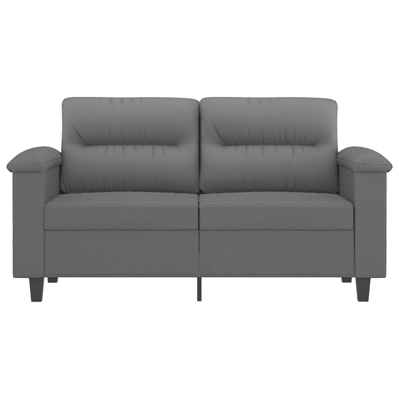 Bowery Hill Contemporary 2-Seater Sofa in Dark Grey Microfiber Fabric