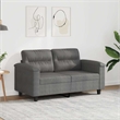 Bowery Hill Contemporary 2-Seater Sofa in Dark Grey Microfiber Fabric