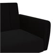 Bowery Hill Contemporary 2-Seater Sofa Bed in Black Polyester Velvet