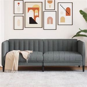 Bowery Hill Contemporary 2-Seater Sofa in Dark Grey Polyester
