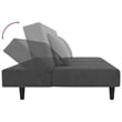 Bowery Hill Contemporary Metal 2-Seater Sofa Bed in Dark Gray Polyester