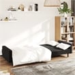 Bowery Hill Contemporary Medium Sofa Bed in Black Polyester Velvet