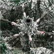 Bowery Hill Artificial Hinged Christmas Tree Green and white PVC PE iron