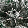 Bowery Hill Artificial Hinged Christmas Tree Green and white PVC PE Iron