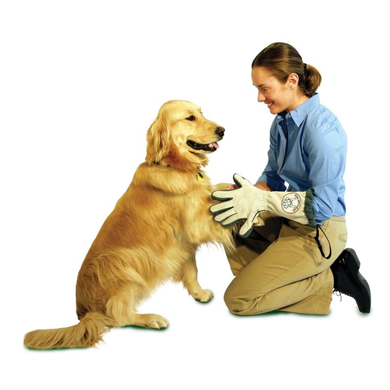 Bowery Hill Premium Microfiber Spotless Paw Dog Cleaning Glove in White