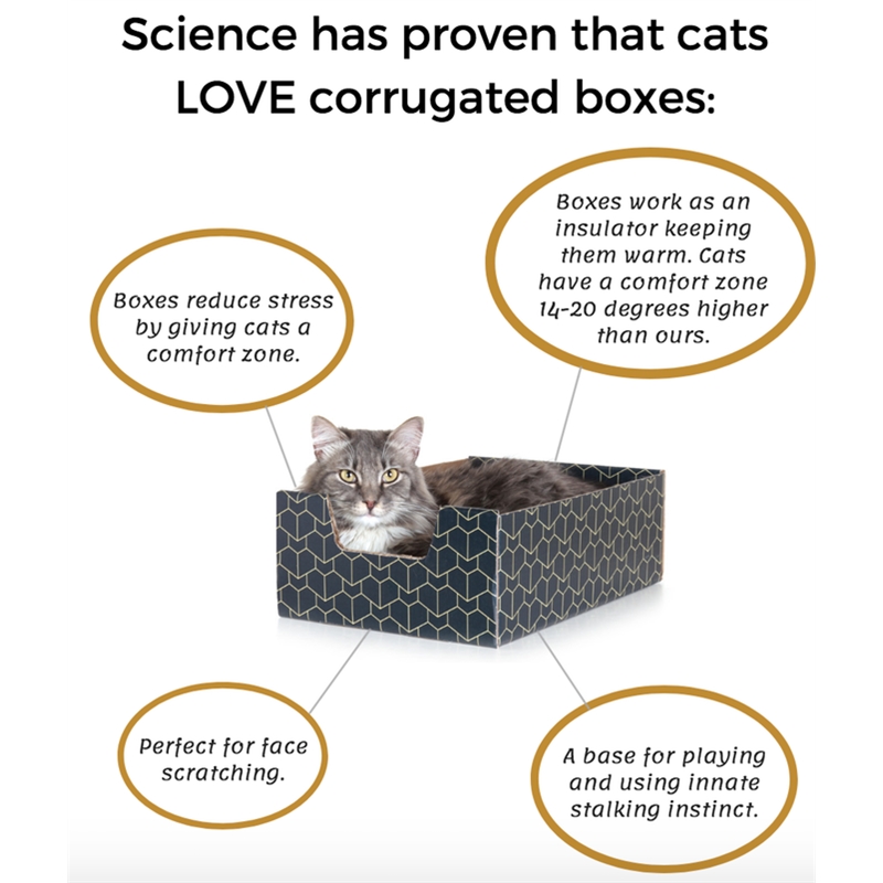 Bowery Hill Purrfect Premium Cardboard Peek-a-Boo Cutout Cat Box in Blue