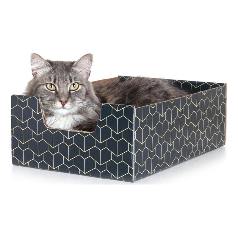 Bowery Hill Purrfect Premium Cardboard Peek-a-Boo Cutout Cat Box in Blue