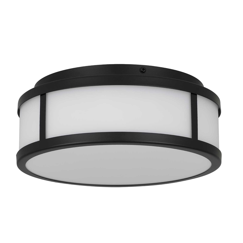 Bowery Hill Modern Stainless Steel 10-inch LED Outdoor Flush Mount in Black