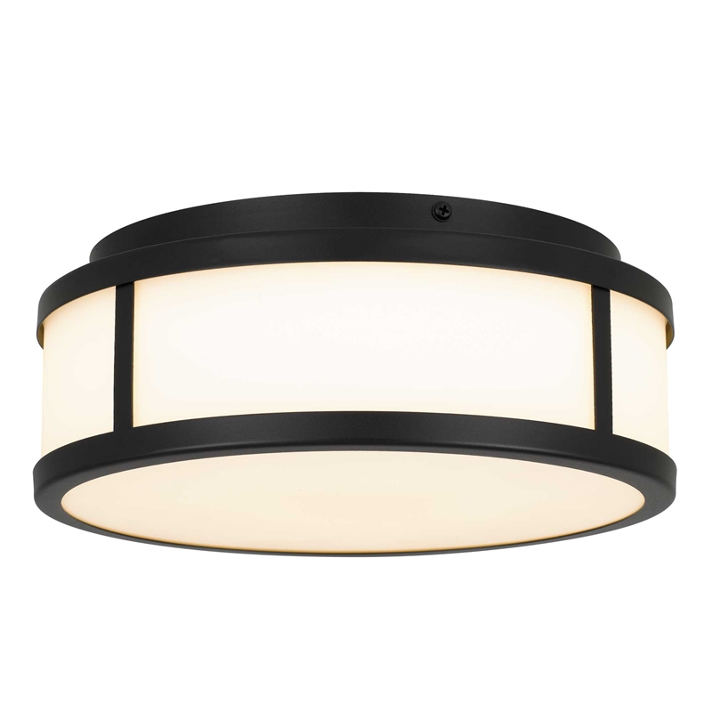 Bowery Hill Modern Stainless Steel 10-inch LED Outdoor Flush Mount in Black