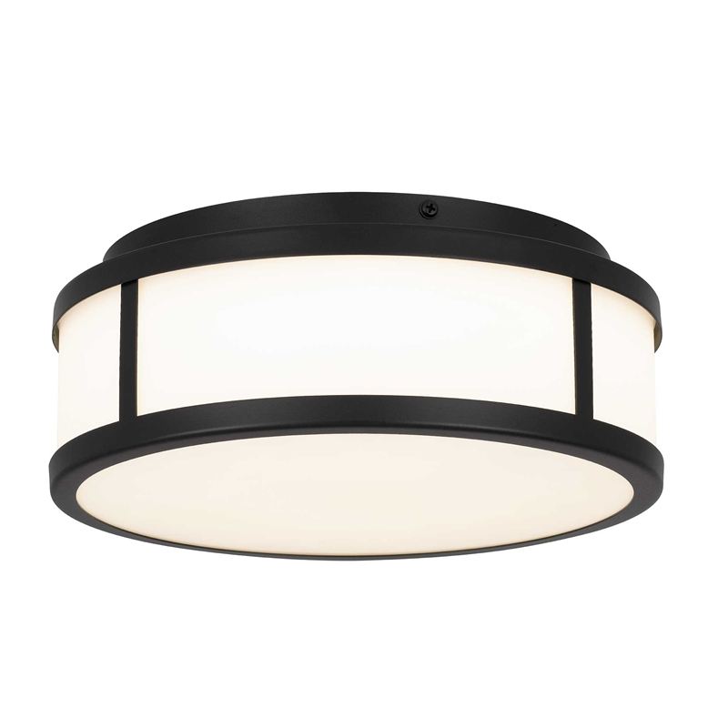 Bowery Hill Modern Stainless Steel 10-inch LED Outdoor Flush Mount in Black