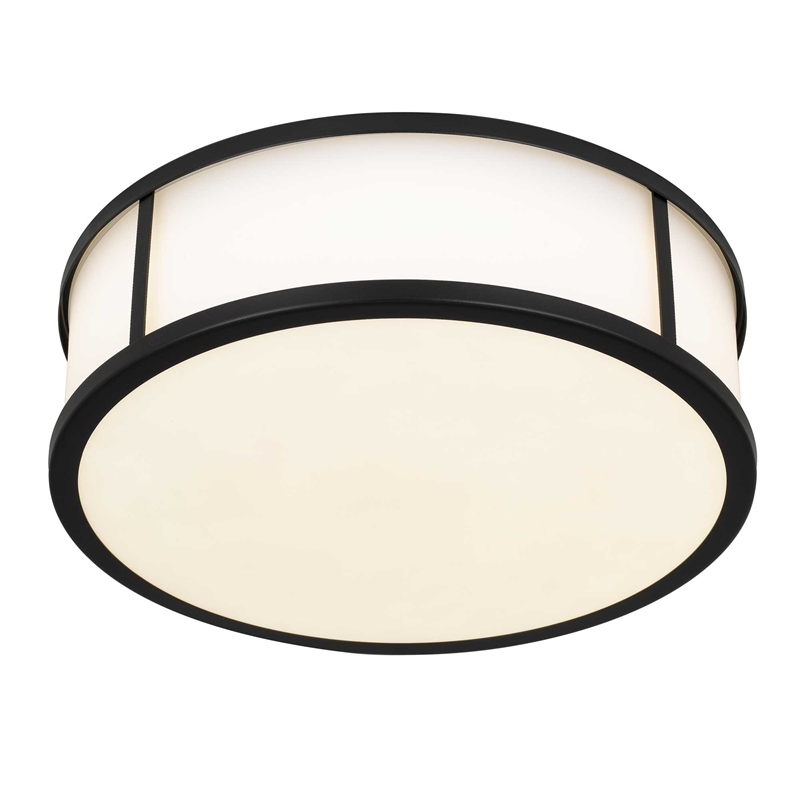 Bowery Hill Modern Stainless Steel 14-inch LED Outdoor Flush Mount in Black