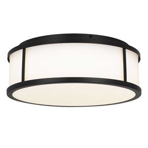 Bowery Hill Modern Stainless Steel 14-inch LED Outdoor Flush Mount in Black