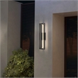 Bowery Hill Modern Aluminum In & Out LED Outdoor Wall Light in Black