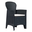 Bowery Hill Large Plastic & Polyester Outdoor Dining Set in Anthracite