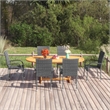 Bowery Hill Solid Acacia Wood & Powder-Coated Steel Dining Set in Gray