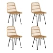 Bowery Hill Steel/Tempered Glass/Polyethylene Rattan Garden Dining Set in Black