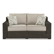 Bowery Hill Outdoor Loveseat and Sofa Set in Beige