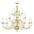 Bowery Hill Contemporary 22-Light Chandelier in Polished Brass