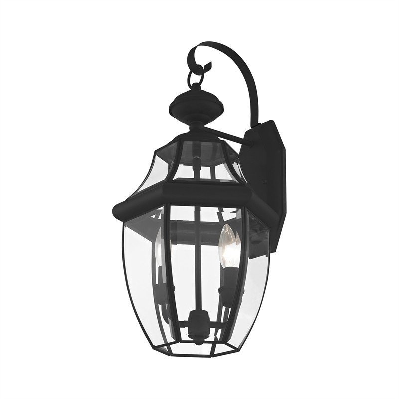 Bowery Hill Contemporary 2-Light Brass Outdoor Wall Lantern in Black