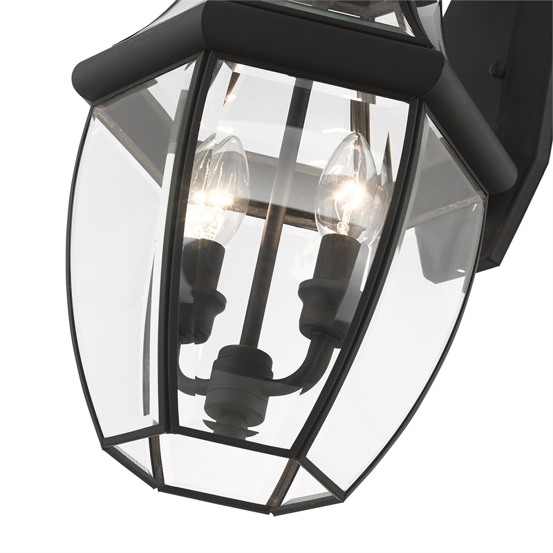 Bowery Hill Contemporary 2-Light Brass Outdoor Wall Lantern in Black