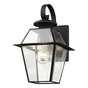 Bowery Hill Contemporary 1-Light Brass Outdoor Wall Lantern in Black