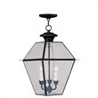 Bowery Hill Contemporary 3-Light Outdoor Chain Hang in Black