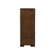 Bowery Hill Contemporary 5-Drawer Bedroom Chest in Espresso Finish