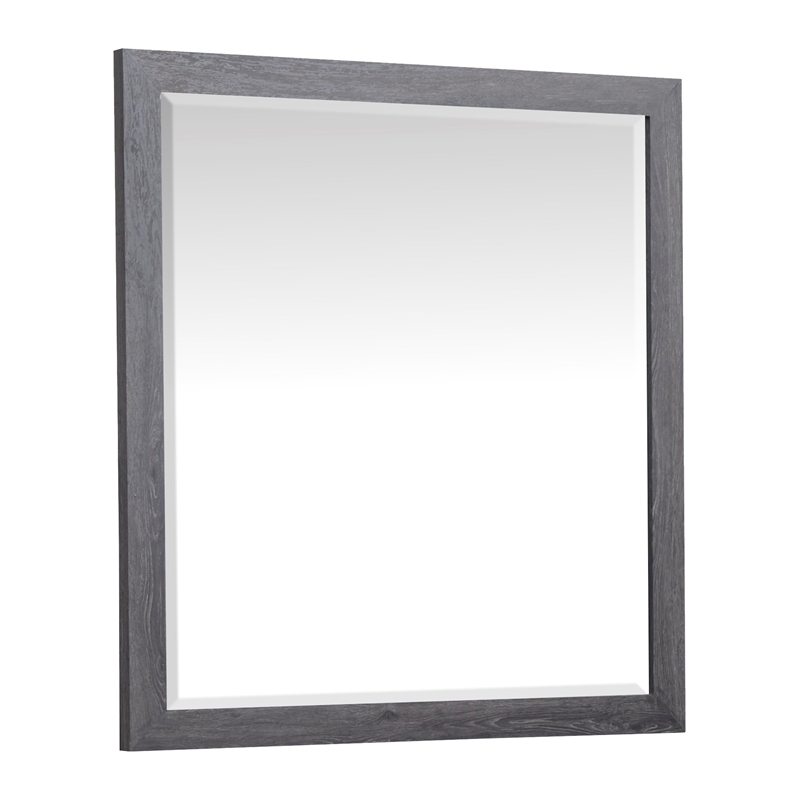 Bowery Hill 6-Drawer Dresser With Portrait Mirror in Raisin Black