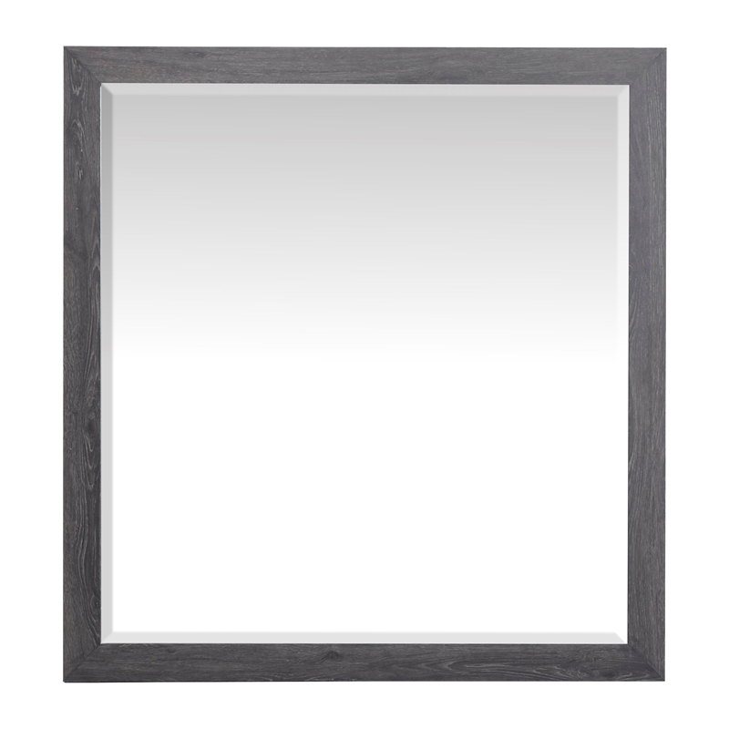 Bowery Hill 6-Drawer Dresser With Portrait Mirror in Raisin Black