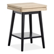 Bowery Hill Contemporary Square Accent Table With Shelf in Driftwood