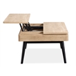 Bowery Hill Contemporary Lift Top Storage Cocktail Table in Driftwood
