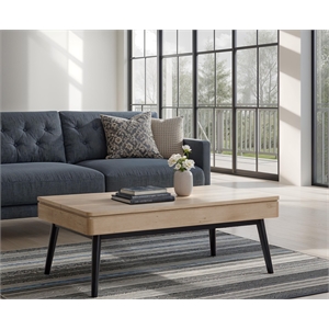 Bowery Hill Contemporary Lift Top Storage Cocktail Table in Driftwood