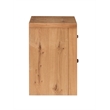 Bowery Hill Modern Rustic 2-Drawer Nightstand in Honey Wheat