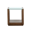 Bowery Hill Modern Glass Top Rectangular End Table With Shelf in Cinnamon