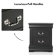 Bowery Hill Transitional Queen Bed and 2 Nightstands Set in Black