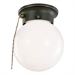 Bowery Hill Globe Steel Ceiling Light with Pull Chain in Bronze