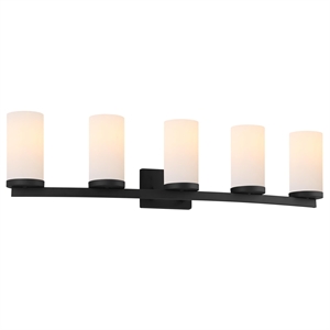 Bowery Hill 5-Light Transitional Glass Vanity Bar in Matte Black