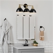 Bowery Hill Stainless Steel Vanity Light in Matte Black/Gold 3 Light