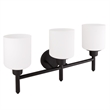 Bowery Hill Stainless Steel Vanity Light in Matte Black 3-Light